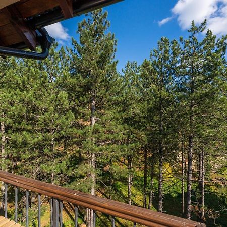 Apartment Grey Mountain Zlatibor Luaran gambar