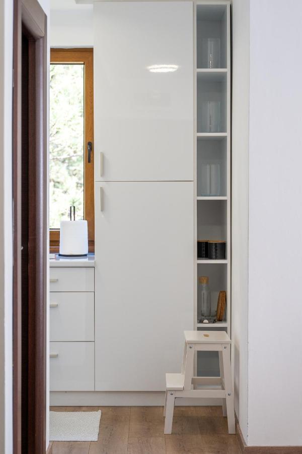 Apartment Grey Mountain Zlatibor Luaran gambar