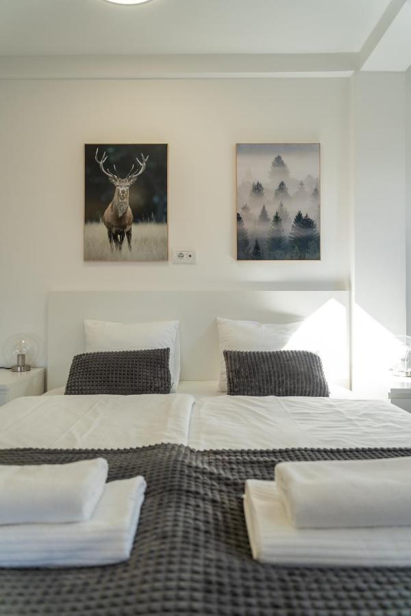 Apartment Grey Mountain Zlatibor Luaran gambar