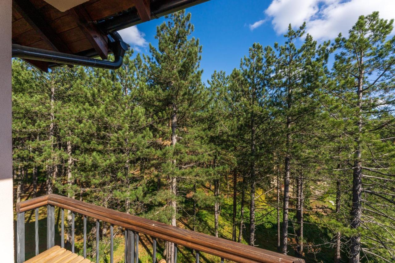 Apartment Grey Mountain Zlatibor Luaran gambar