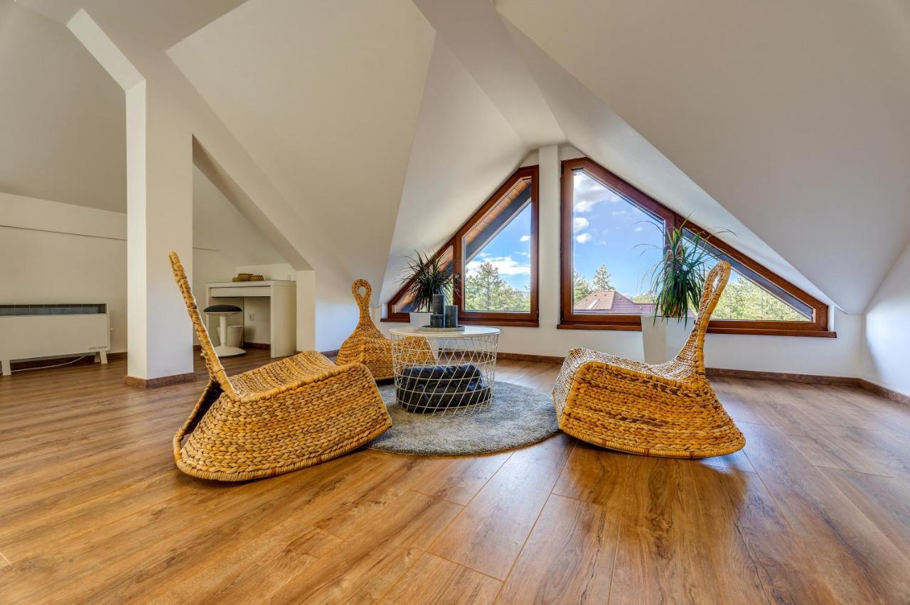 Apartment Grey Mountain Zlatibor Luaran gambar