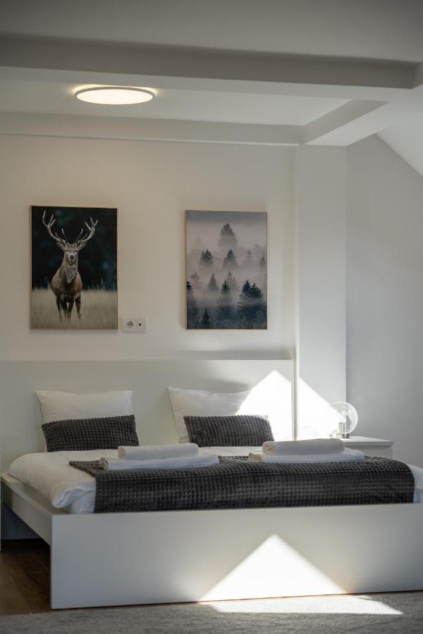 Apartment Grey Mountain Zlatibor Luaran gambar